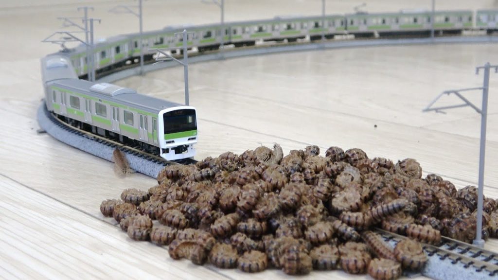 大量のヤスデに電車をぶつけると...