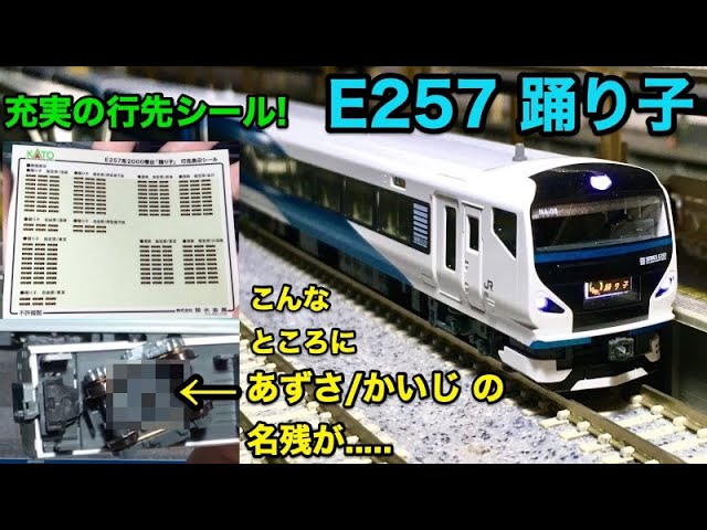 E257系2000番台(踊り子) Nゲージ開封 KATO