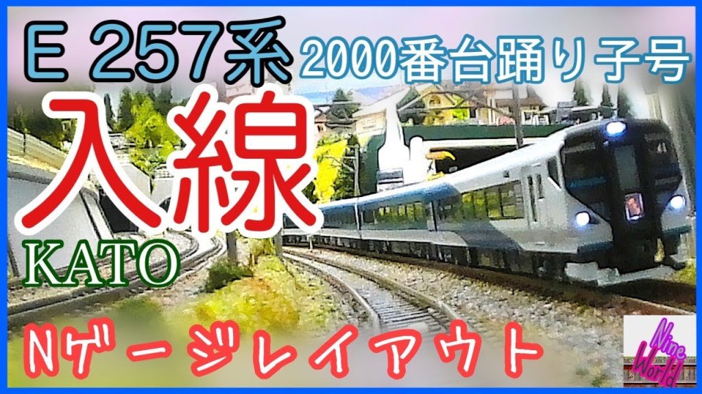 【Ｎゲージ鉄道模型】E257系、2000番台、開封、入線、踊り子、KATO、東海道線、レイアウト、ジオラマ、長編成、大型レイアウト、Ngauge、展望カメラ、カトー、N gauge Cab View