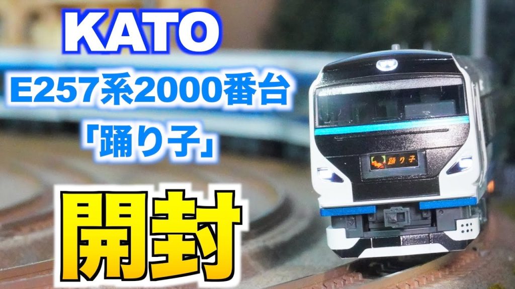 【ハプニング有り!!】KATO E257系2000番台「踊り子」開封&紹介【Nゲージ/鉄道模型】