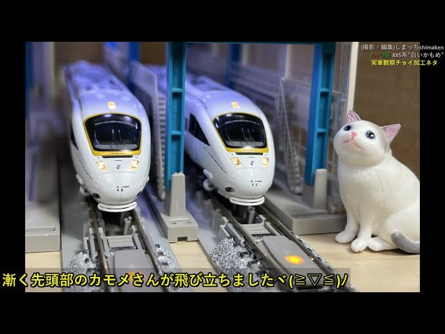 【Nゲージ 鉄道模型】KATO製 885系 黄帯“白いかもめ”をチョイ加工してみました♪