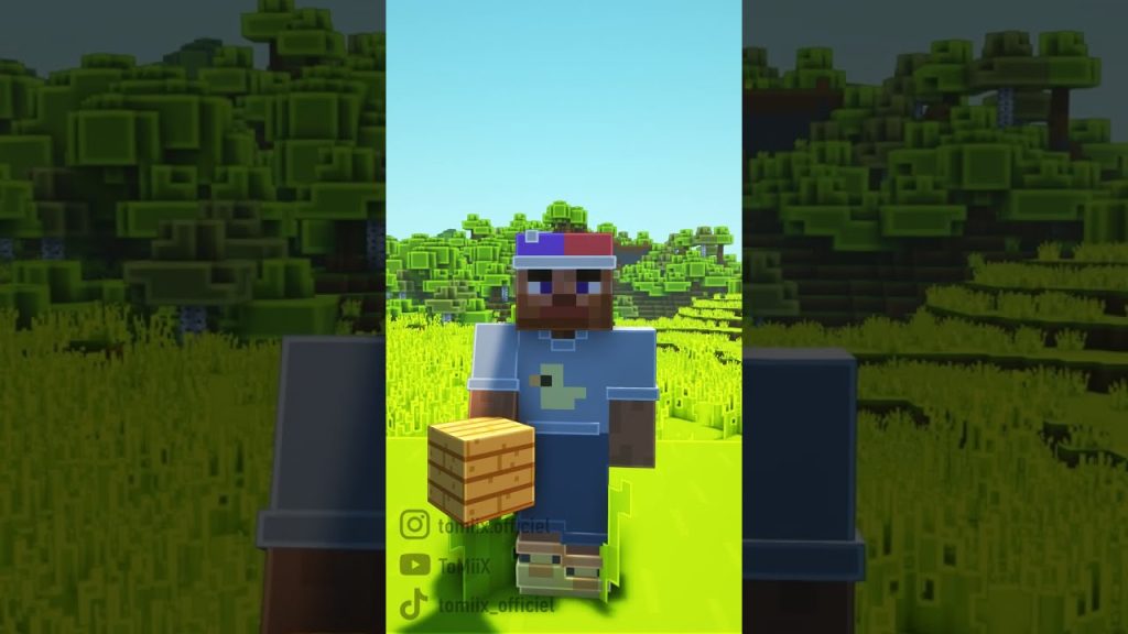 Les différents types de joueurs sur Minecraft