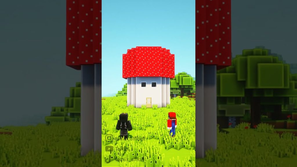 Ce pote fan de mario sur Minecraft !