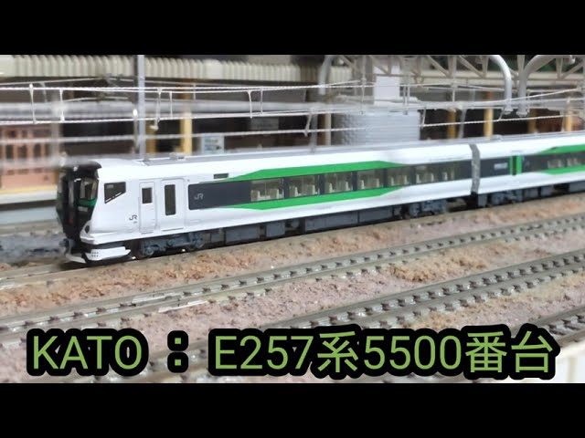 JR 東日本  E257系5500番台 「草津・四万」　 鉄道模型(N scale model) ジオラマ( My layout)