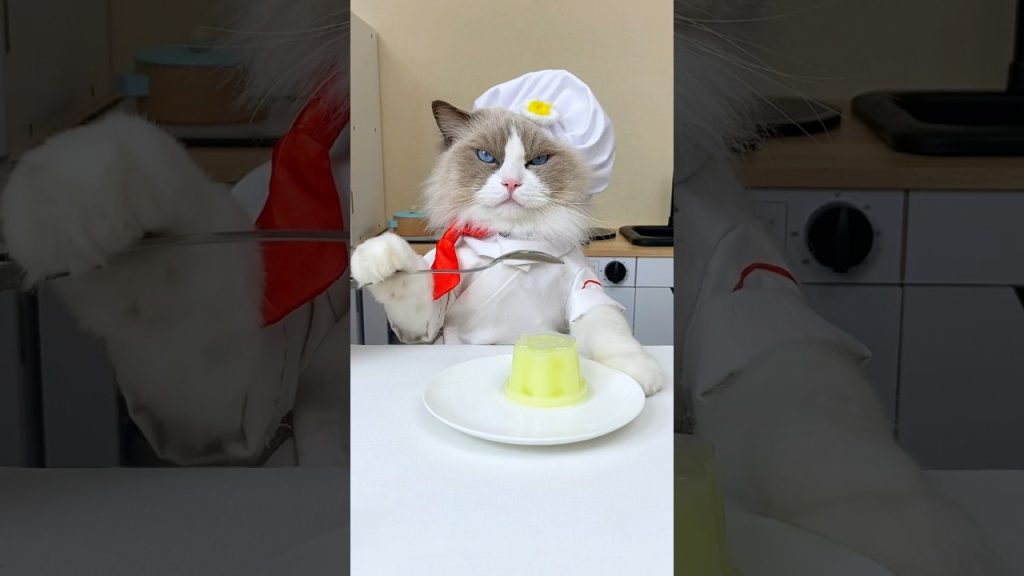 🐱🔪 Get ready to mix it up! 🍲 #ThatLittlePuff #CulinaryHacks