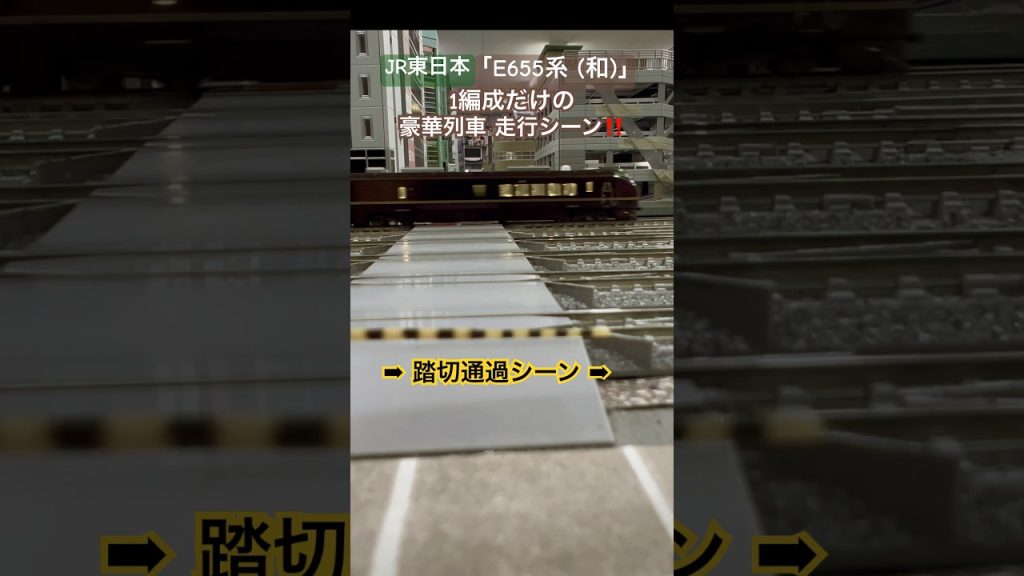 [踏切通過‼︎] 1編成だけの豪華列車E655系(和)が踏切を通過するシーン‼︎ #nゲージ #e655系 #なごみ #jr東日本 #グリーン車 #特急 #kato #鉄道模型 #ふみきり #踏切