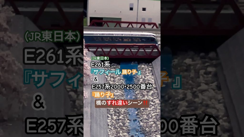 [橋 通過‼︎] E261系(サフィール) & E257系2000番台/2500番台が橋を走行中にすれ違うシーンを再現‼︎ #nゲージ #特急踊り子 #東海道線 #kato #離合 #鉄橋 #鉄道模型