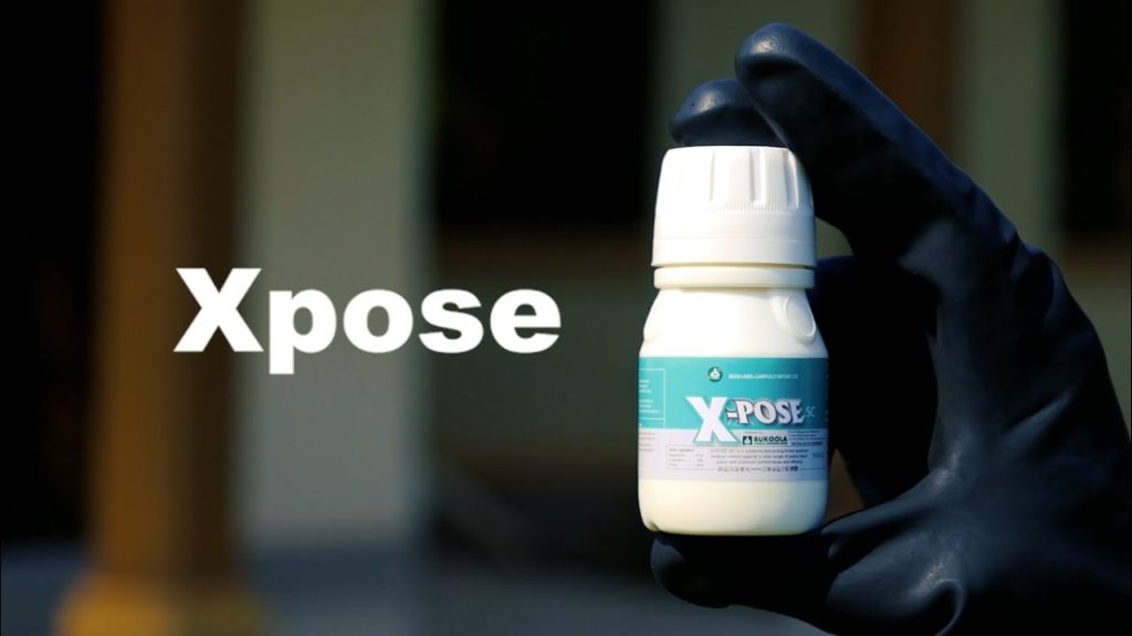 Get peace that lasts at last. Learn how to mix Xpose