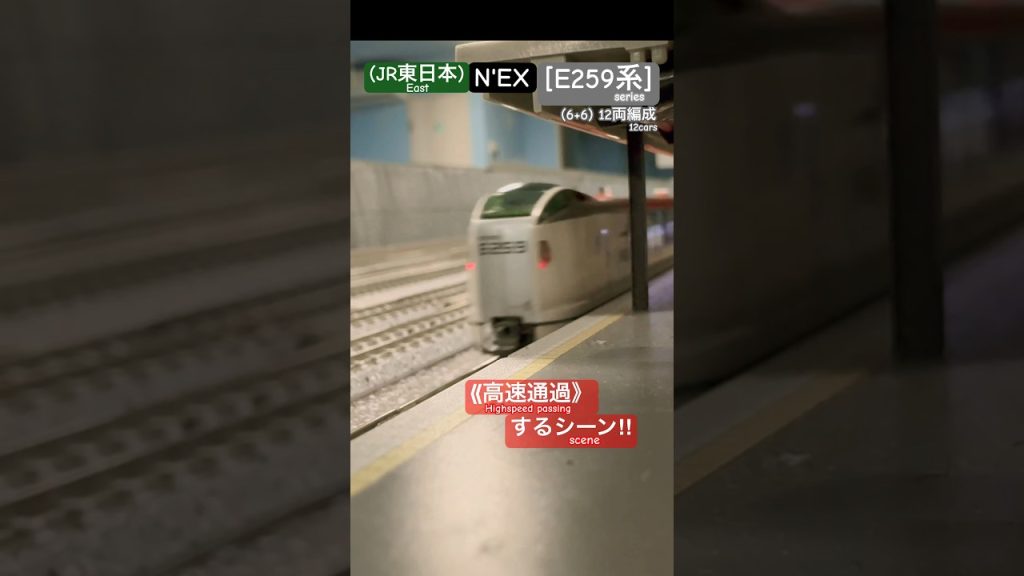 [高速通過‼︎] E259系(リニューアル車)が駅を通過するシーン‼︎ #e259系 #成田エクスプレス #特急 #jr東日本 #総武快速線 #nゲージ #modeltrains #通過 #kato