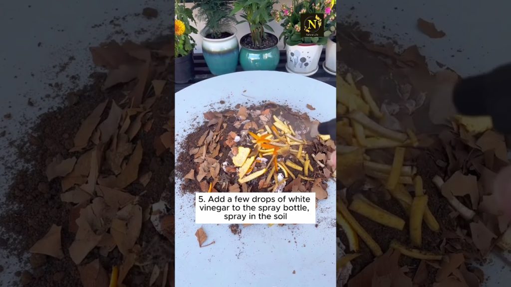 How to mix the soil before planting #youtubeshorts #viral #plants #youtubeshorts #shorts #youtube