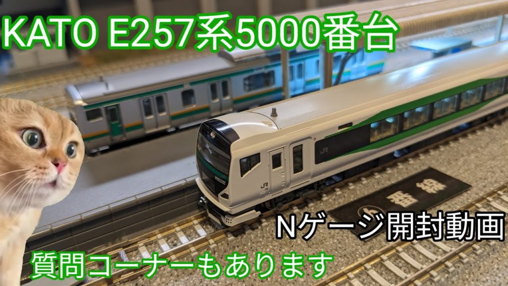 【Nゲージ開封動画】KATO E257系5000番台【質問コーナーもあります】