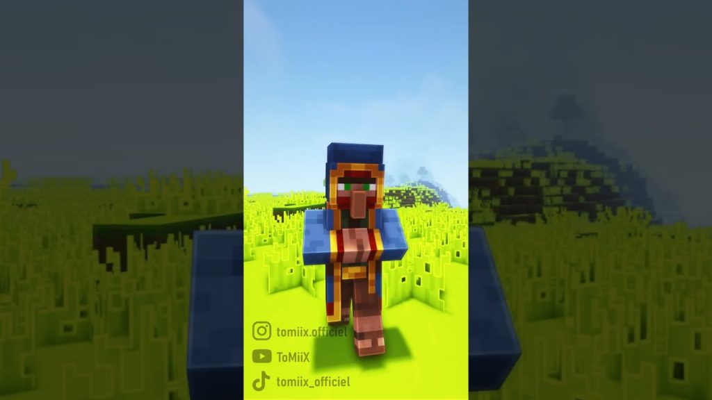 POV : Tu joues à Minecraft mais...