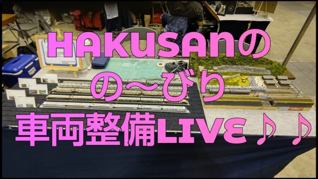 HAKUSANの の～んびり配信（第112回）TOMIX E129系 車両整備【インレタ貼付】