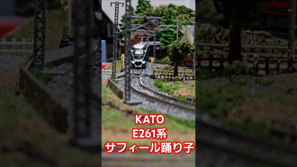 KATO E261系サフィール踊り子 #nゲージ #train #kato鉄道模型  #shorts #水平アングル