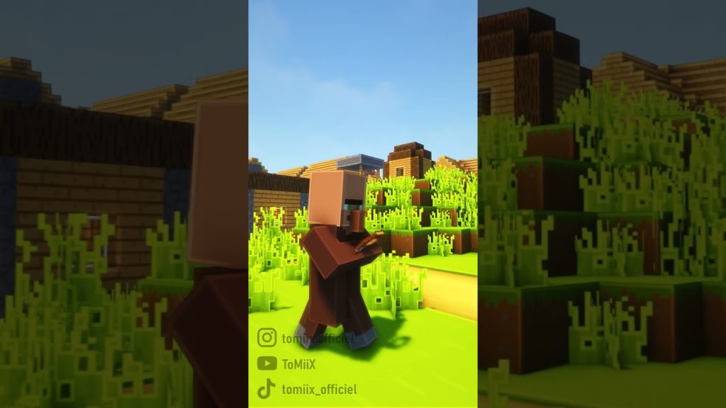 L’idiot du village dans Minecraft