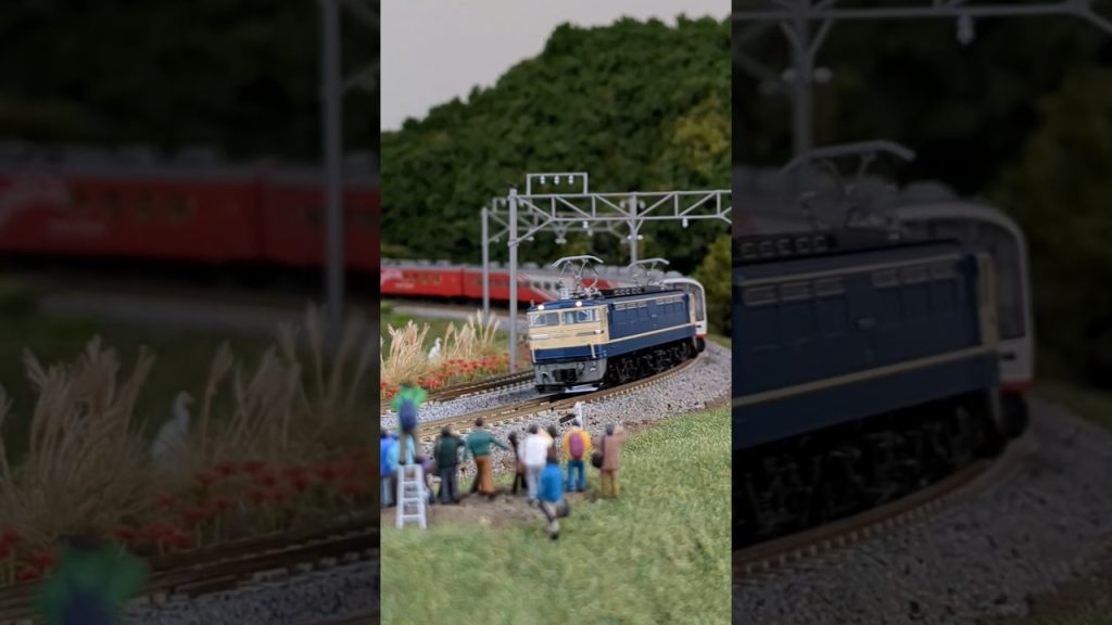 #Pトップ #スーパーエクスプレスレインボー ▼KATO N-scale model, EF65-501 & Series 14-700 "Superexpress Rainbow". #shorts