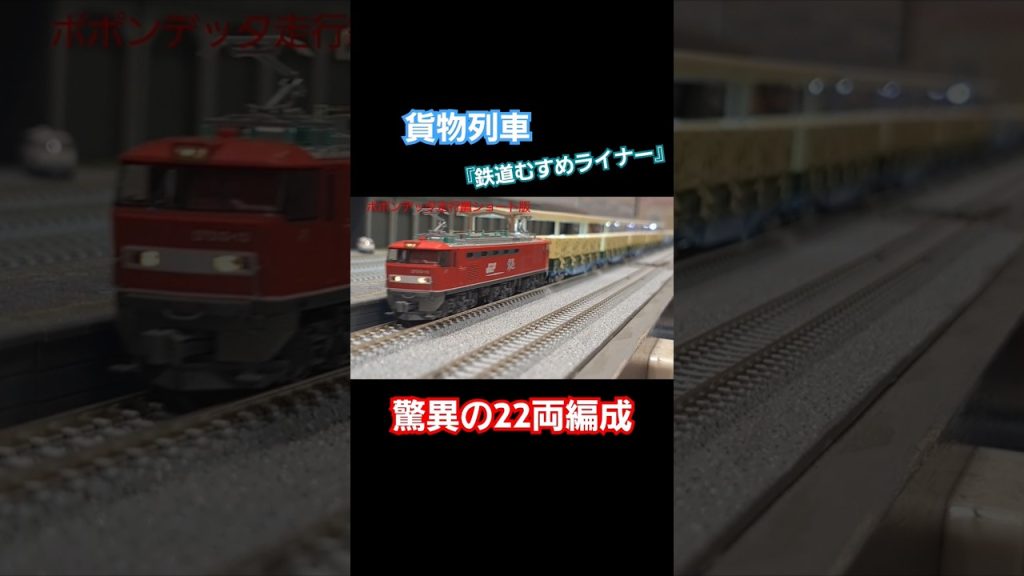 貨物列車 《鉄道むすめライナー》#nゲージ #鉄道模型 #貨物列車 #鉄道むすめ