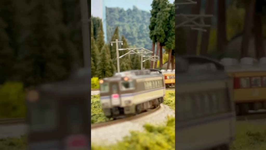 キハ181系カニカニはまかぜ　#nゲージ #鉄道模型 #modelrailroad