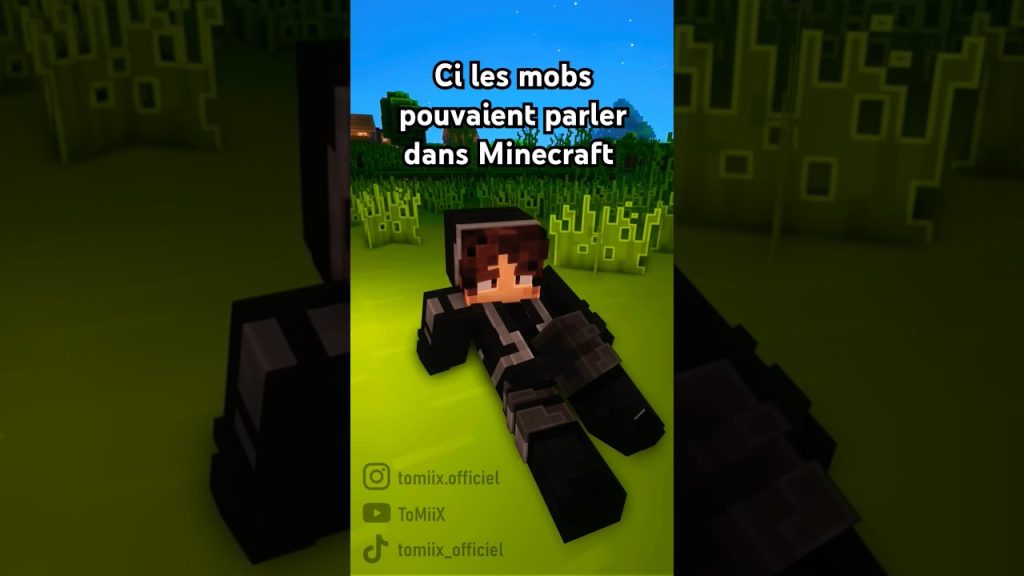 Tomix partie 3 #humour #shorts #follow #minecraft #subscribe #like #shortsminecraft