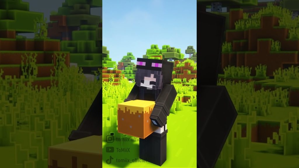 La Saint Valentin dans Minecraft...