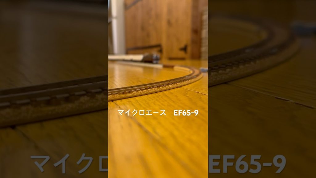 マイクロエースEF65-9 #鉄道 #train #nゲージ #鉄道模型