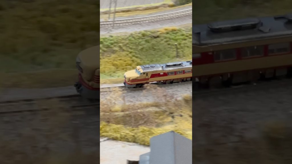 国鉄キハ81系気動車　#鉄道模型 #nゲージ #modeltrains