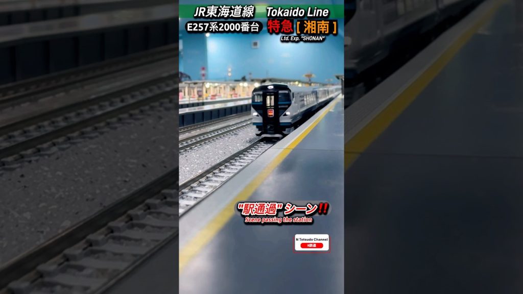 [駅通過‼︎] E257系2000番台が駅を通過するシーン‼︎ #nゲージ #特急湘南 #e257系 #東海道線 #特急 #鉄道模型 #jr東日本 #高速通過 #modeltrains #kato