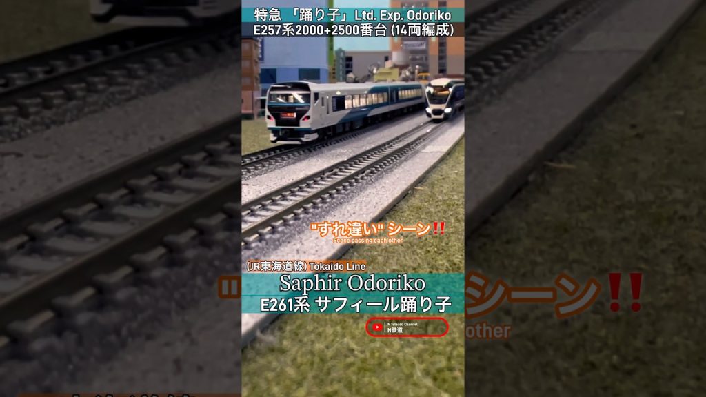 [連続通過‼︎] E261系(サフィール踊り子)&E257系2000番台/2500番台がすれ違うシーンを再現‼︎ #nゲージ #特急踊り子 #jr東日本 #kato #鉄道模型 #東海道線 #特急