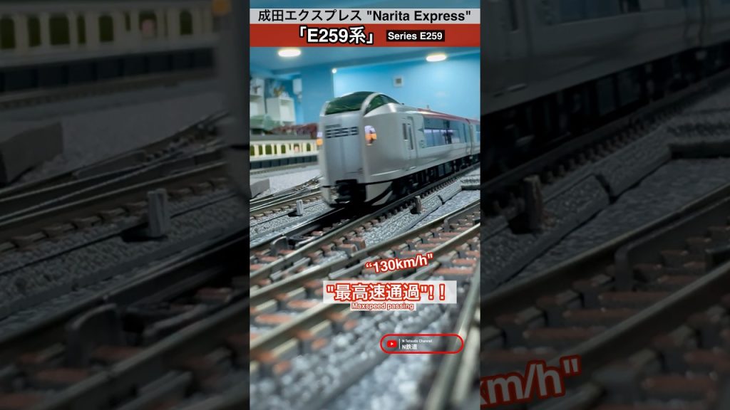 [最高速通過‼︎] JR E259系の高速走行シーン再現‼︎ #e259系 #成田エクスプレス #特急 #jr東日本 #総武快速線 #nゲージ #kato #modeltrains #高速通過 #通過