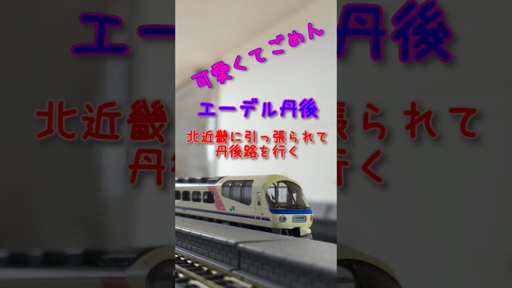 【Nゲージ】可愛くてごめん　エーデル丹後　トミックス 98788 JR 485系・キハ65形（北近畿・エーデル丹後）セット