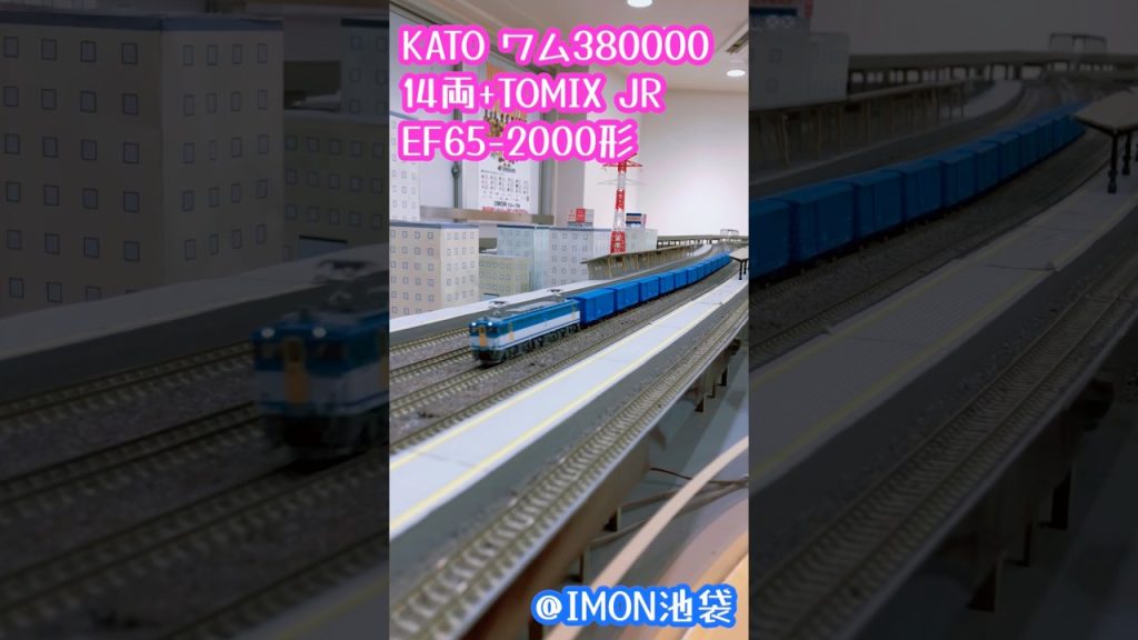 Nゲージ KATO ワム380000 TOMIX EF65-2000形#鉄道模型 #nゲージ