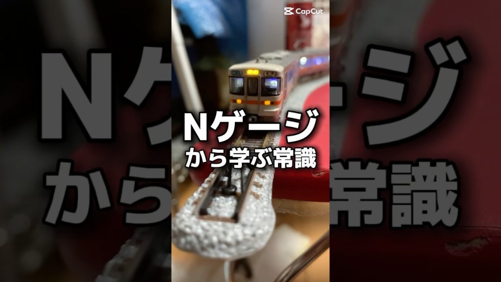 Nゲージから学ぶ常識 #nゲージ #ショート #ばずれ #313系 #事故 #衝突 真似しないでね♡