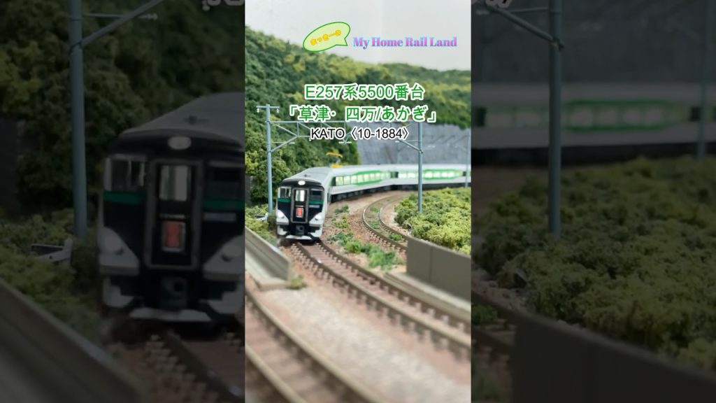 【Nゲージ】E257系5500番台 #鉄道模型