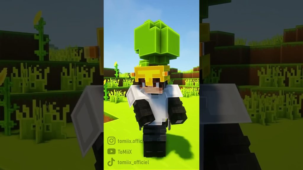 Vous êtes quel type de mineur ? #minecraft #minecraftshorts #tomix #shorts #short #trending #funny