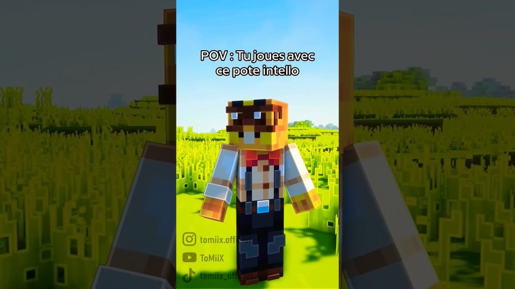 #minecraft #minecraft #tomix #repost