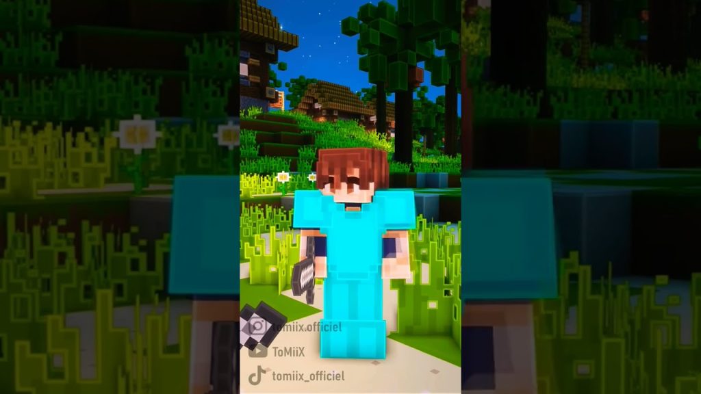 #minecraft #tomix #