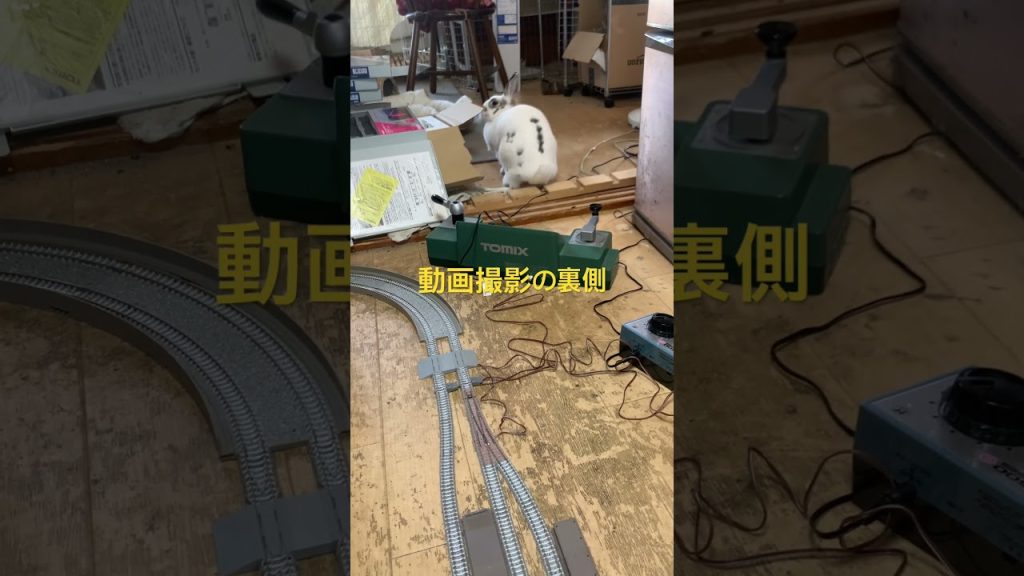 ショート番外編　撮影の裏側#うさぎ #鉄道模型 #nゲージ
