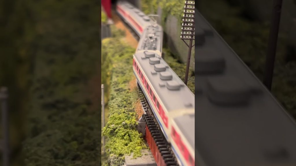 【nゲージ 】489系特急白山にEF63 24・25号機の重連を加えて横軽編成で碓氷峠（ほぼ国峠）を越えてみた