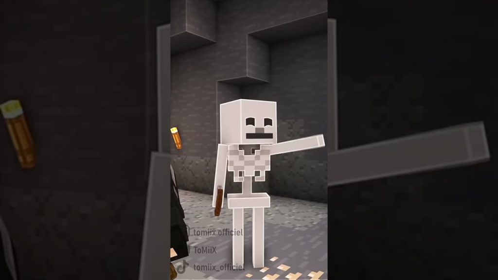 short tomix