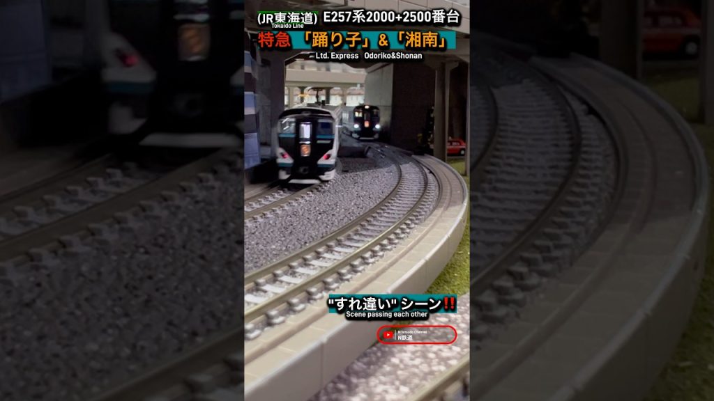 [連続通過‼︎] E257系2000+2500番台 特急｢踊り子&湘南｣がすれ違うシーンを再現‼︎ #nゲージ #特急踊り子 #e257系2000番台 #e257系 #東海道線 #特急 #kato