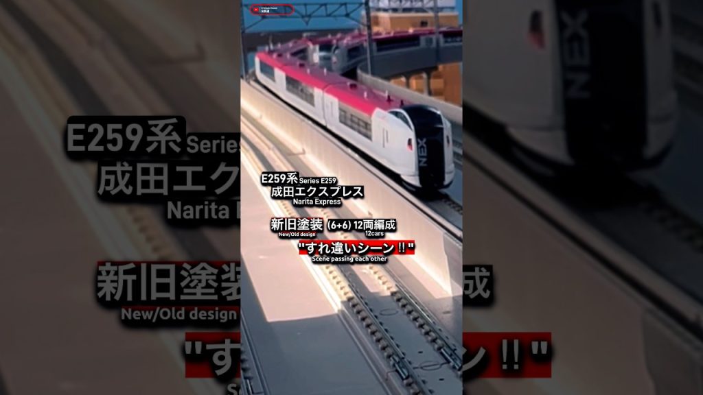 [新旧 連続通過‼︎] 今では見られない新旧E259系すれ違いシーン‼︎ #e259系 #成田エクスプレス #特急 #jr東日本 #総武快速線 #nゲージ #modeltrains #通過 #kato