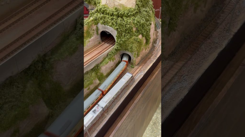 Nゲージ城鎮-台鐵莒光號與EMU800型區間車列車（模型）會車@溫刀鐵道🚄🛤️