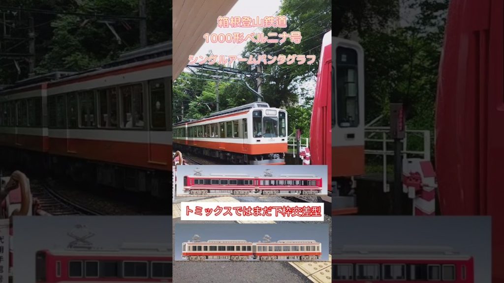 箱根登山鉄道 シングルアームパンタグラフ 1000形ベルニナ号 #shorts #箱根 #トミックス #tomix #箱根登山鉄道 #プラレール #小田急電鉄 #箱根小涌谷 #温泉旅 #東洋電機製造