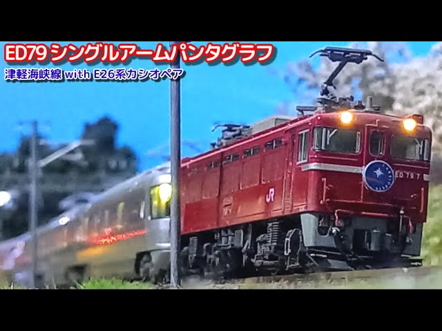 【商品】シングルパンタ&スロットレスモーターに換装したED79がやってきた ( KATO ED79 シングルアームパンタグラフ )