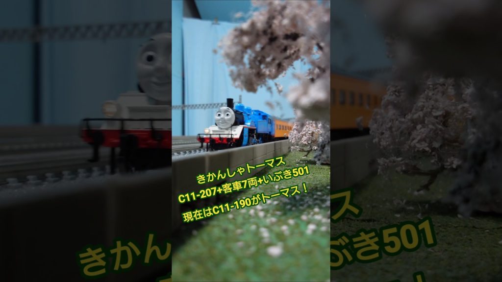 大井川鐡道のトーマス号をNゲージで再現！ #鉄道 #train #nゲージ #えびてつ #機関車 #トーマス #大井川鐵道 #c11 #蒸気機関車 #通過 #通過シーン
