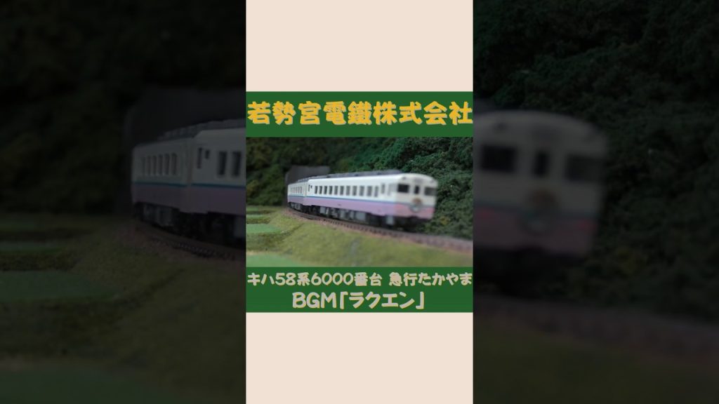 TOMIX キハ58系6000番台　急行たかやま　#Shorts #Nゲージ #のりもの探検隊BGM #のりもの探険隊BGM ＠Wakasemiya