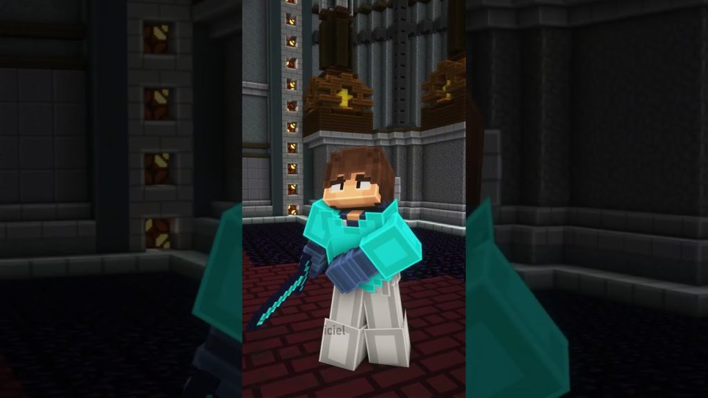 Être nouveau sur un serveur Minecraft…