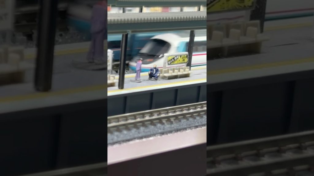 【Nゲージ】 小田急60000形MSE＋小田急20000形RSE 通過　#鉄道模型 #nゲージ #train #ロマンスカー #鉄道#えびてつ