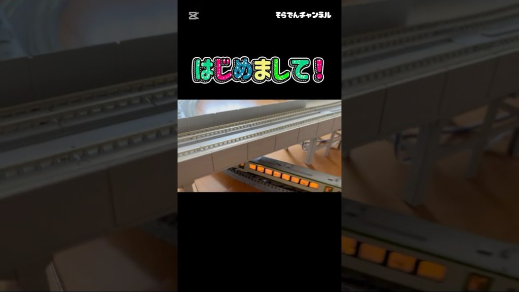 Nゲージを運転していくぅ！　電車　飯山線　長野駅 #電車 #新幹線 #信越本線 #鉄道 #nゲージ #しなの鉄道 #長野