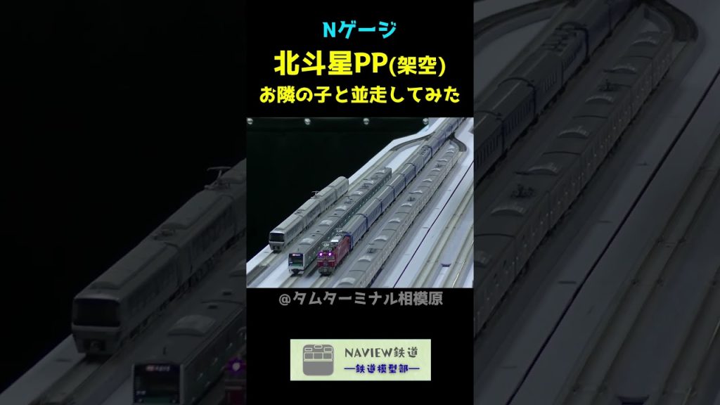 【並走】お隣さんと共演！北斗星×E233系 #shorts